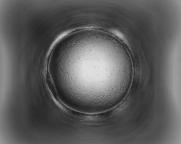 X0000085011421200703121512