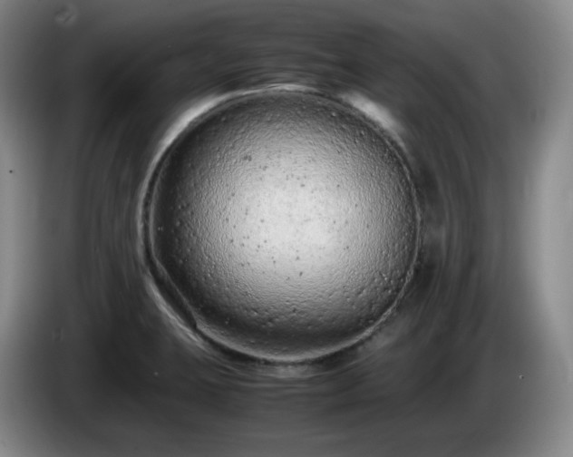 X0000085011423200703121512