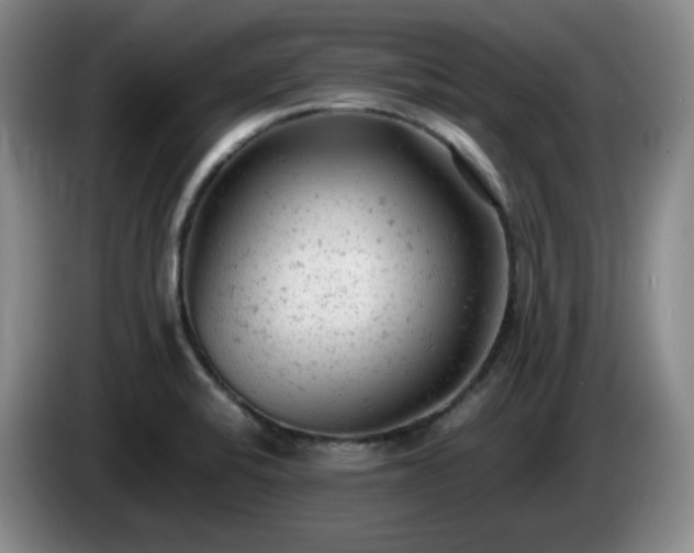 X0000085011424200703121512