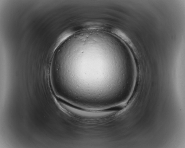 X0000085011425200703121512