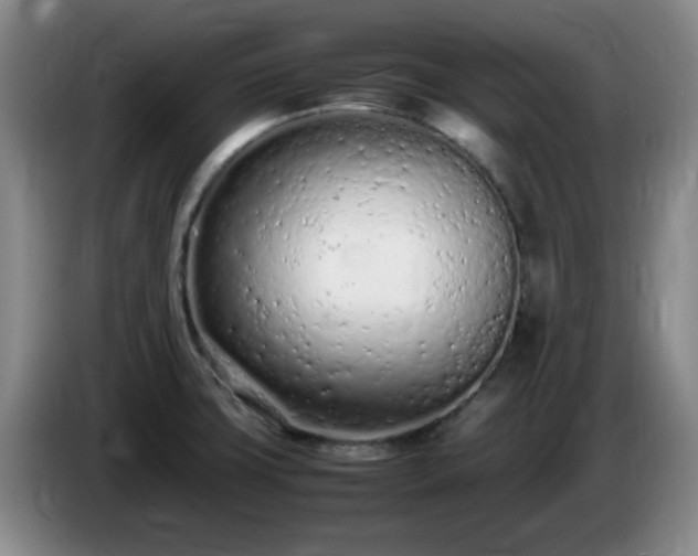 X0000085011427200703121512