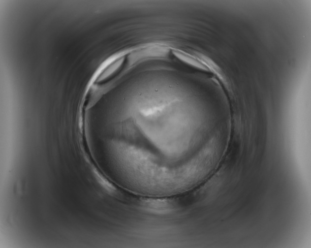 X0000085011428200703121512