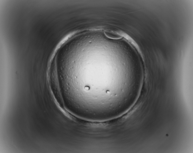 X0000085011429200703121512