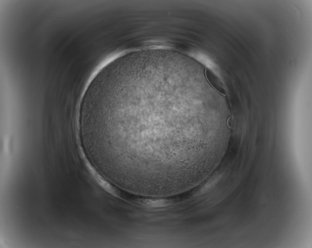 X0000085011431200703121512