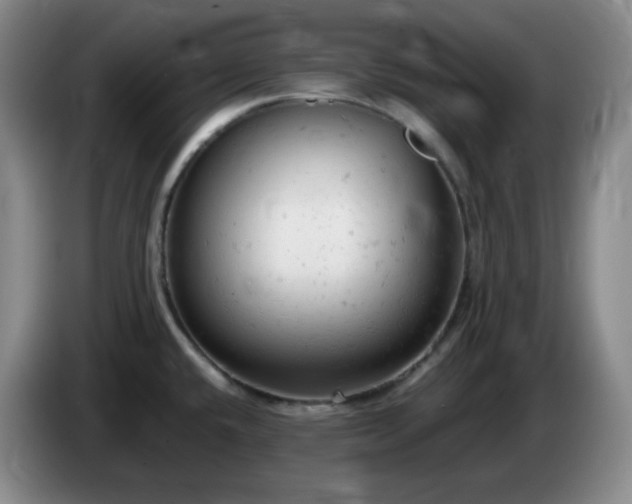 X0000085011432200703121512