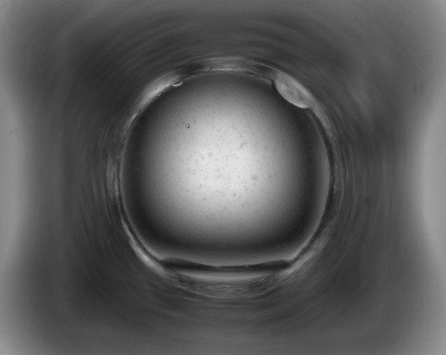 X0000085011433200703121512