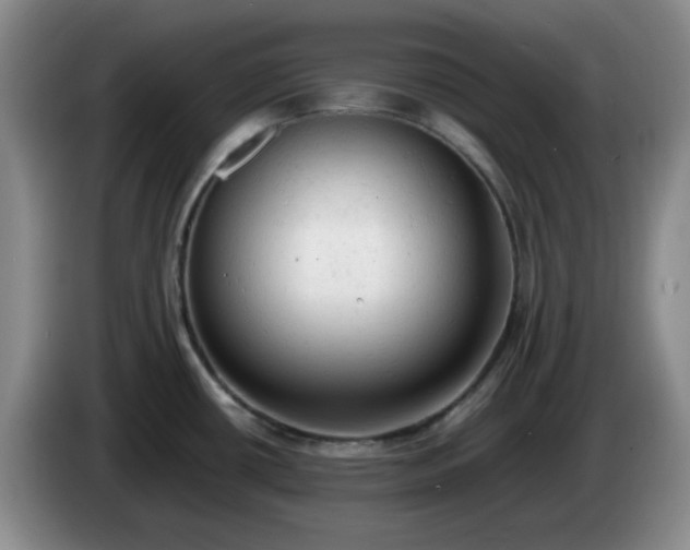 X0000085011434200703121512