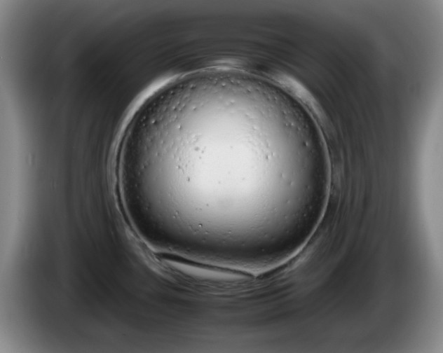 X0000085011435200703121512