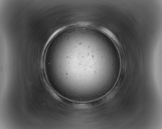 X0000085011436200703121512