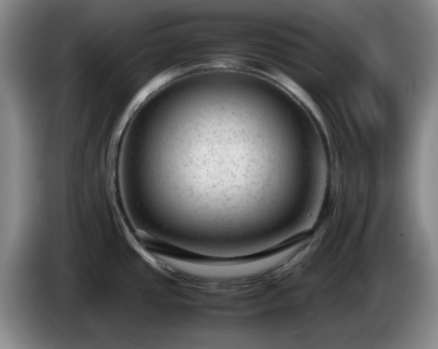 X0000085011437200703121512