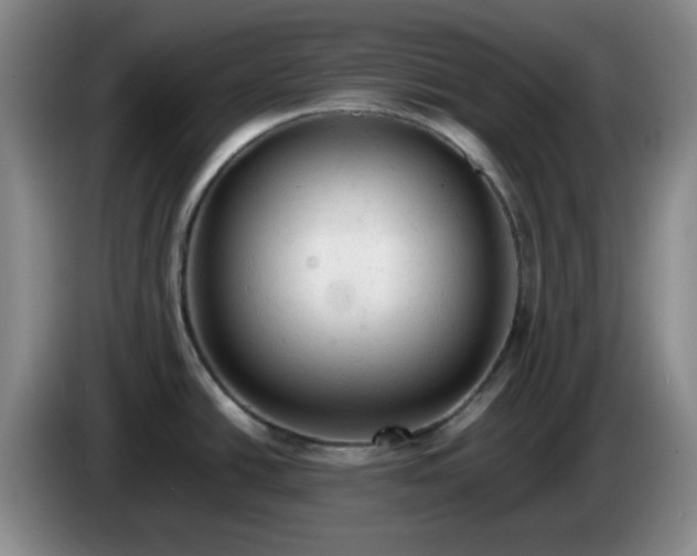 X0000085011438200703121512