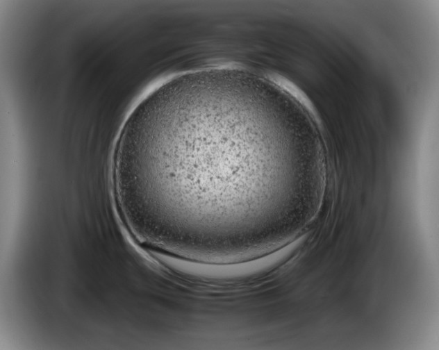 X0000085011439200703121512