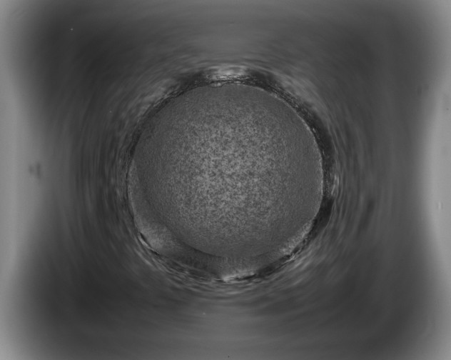 X0000085011441200703121512