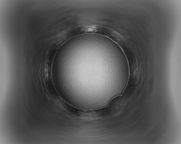 X0000085011442200703121512