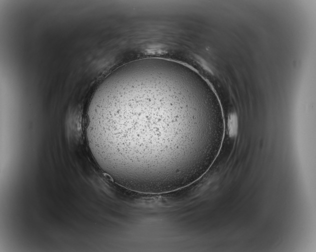 X0000085011444200703121511