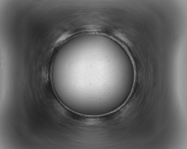 X0000085011451200703121511