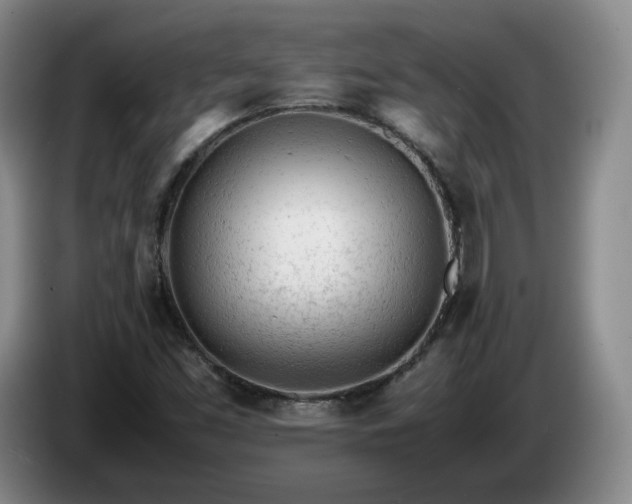 X0000085011453200703121511
