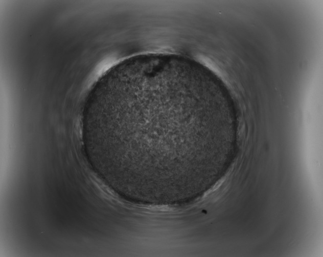 X0000085011455200703121511