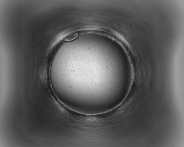 X0000085011456200703121511
