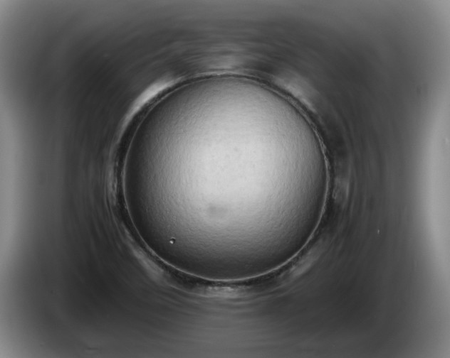X0000085011458200703121511