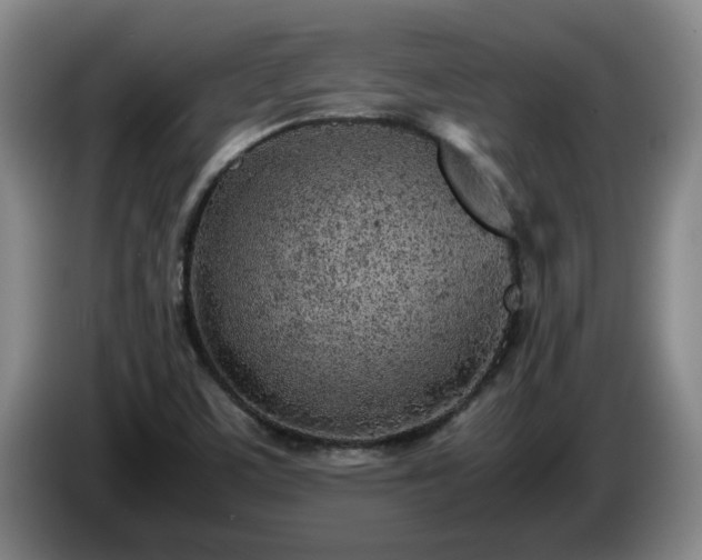 X0000085011459200703121511