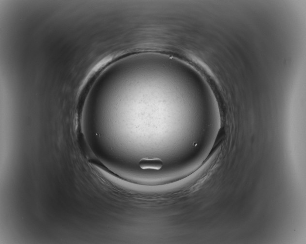 X0000085011461200703121511