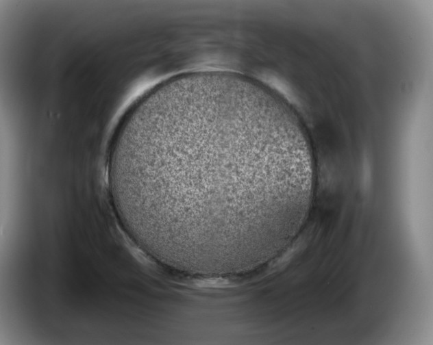 X0000085011462200703121511