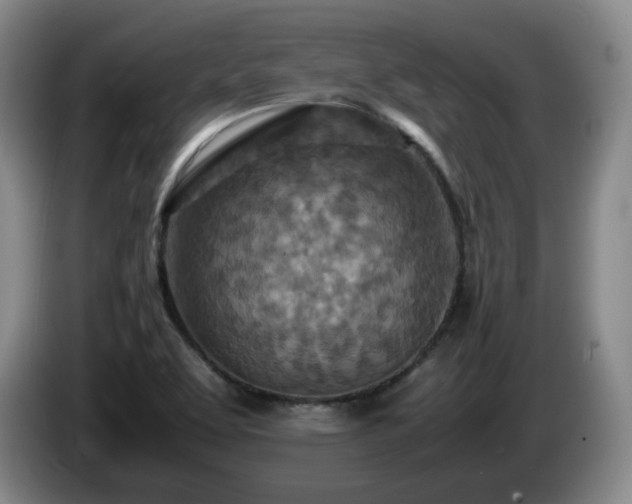 X0000085011463200703121511