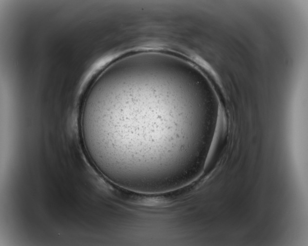 X0000085011464200703121511