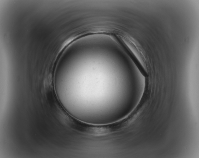 X0000085011465200703121511