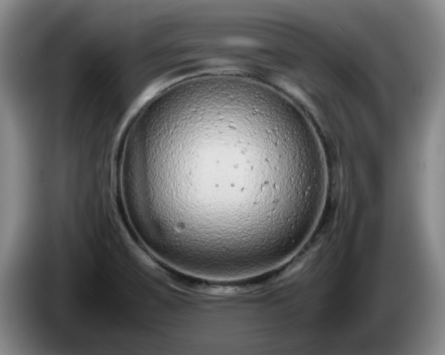 X0000085011467200703121511