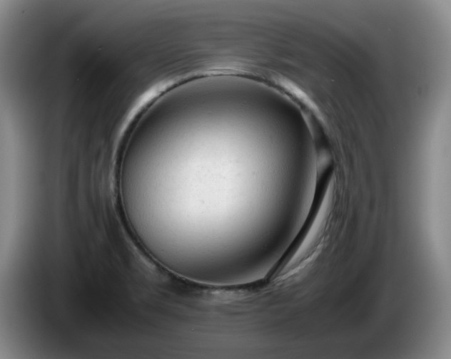 X0000085011469200703121511