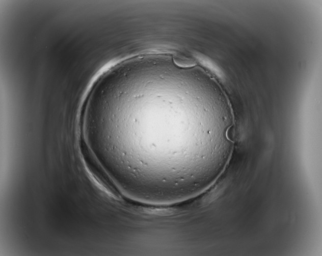 X0000085011471200703121511
