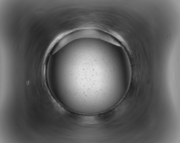 X0000085011472200703121511