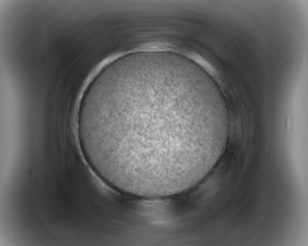 X0000085011478200703121511