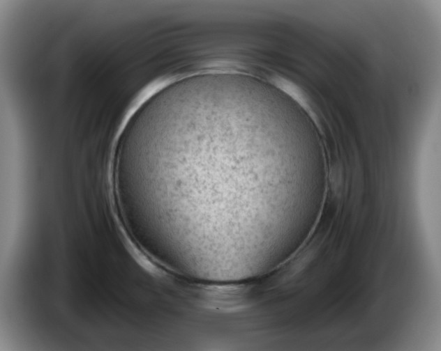 X0000085011482200703121511