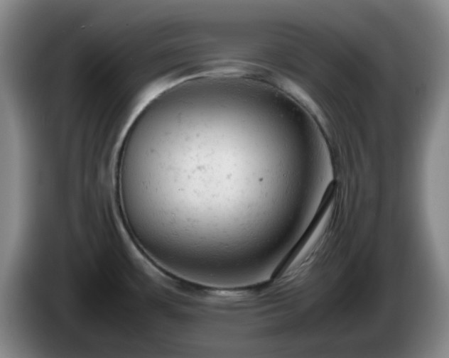 X0000085011483200703121511