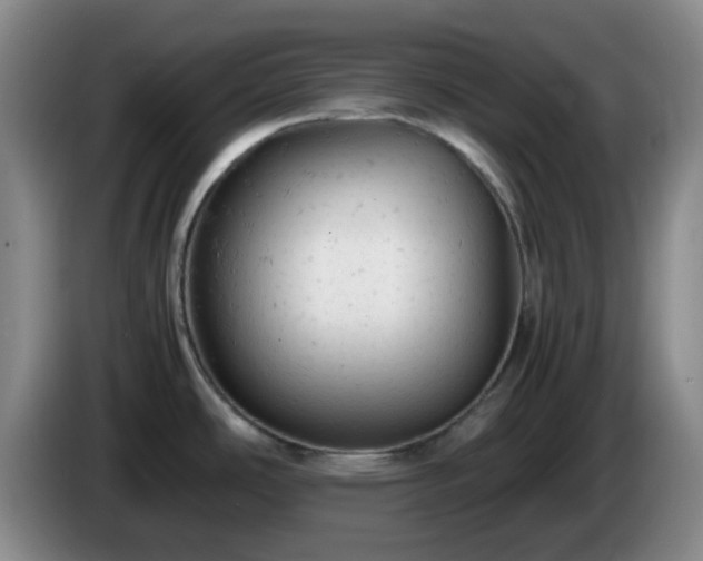 X0000085011486200703121511