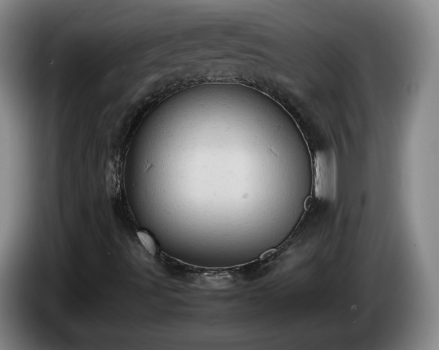X0000085011491200703121510