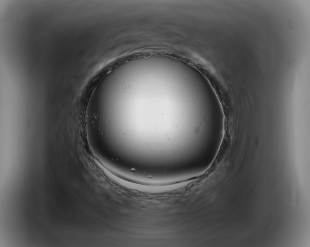 X0000085011496200703121510