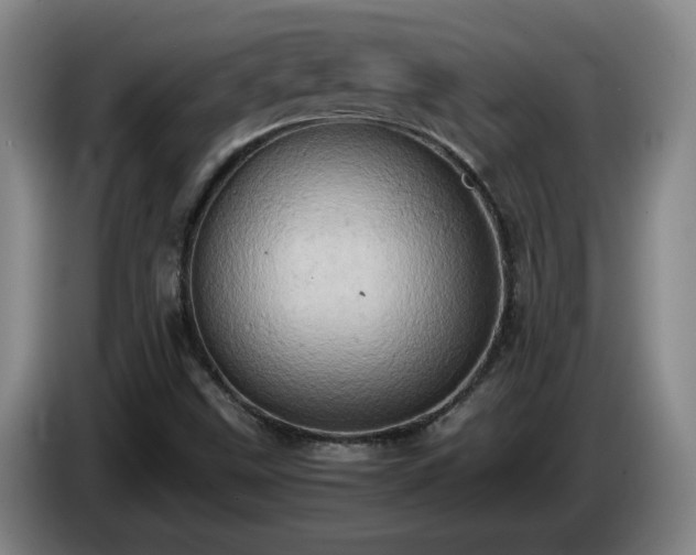 X0000085011499200703121510