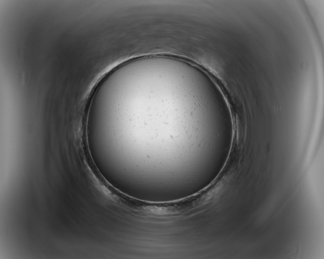 X0000085011500200703121510