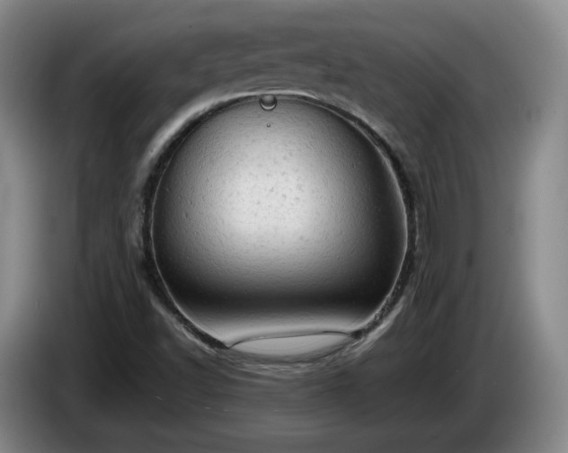 X0000085011502200703121510