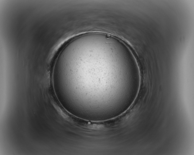 X0000085011503200703121510