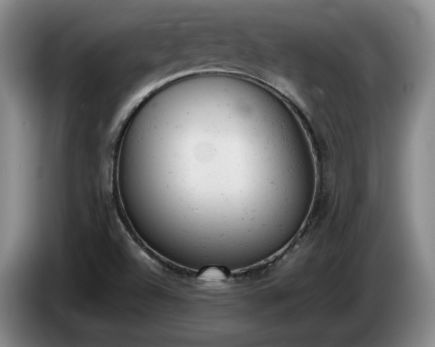 X0000085011504200703121510