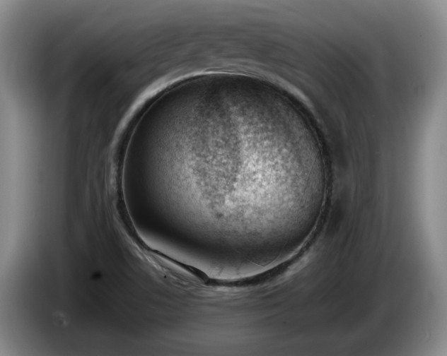 X0000085011506200703121510