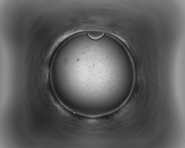 X0000085011507200703121510
