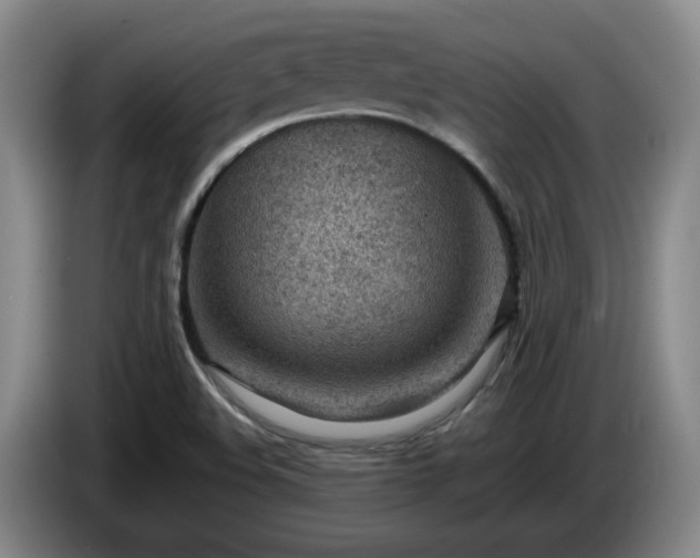 X0000085011508200703121510