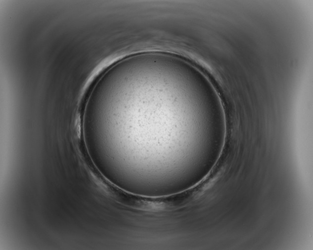 X0000085011509200703121510