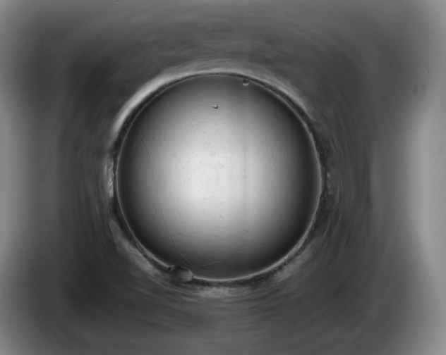 X0000085011510200703121510